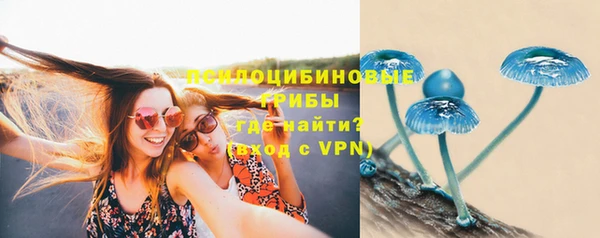 ALPHA PVP Осташков