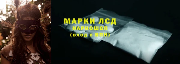 spice Осинники