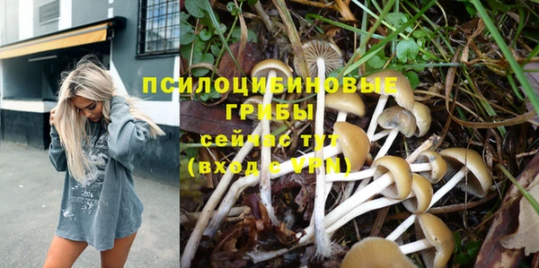 MDMA Premium VHQ Снежногорск