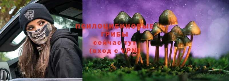 Псилоцибиновые грибы MAGIC MUSHROOMS  OMG ссылки  Энем 