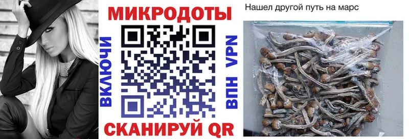 Галлюциногенные грибы GOLDEN TEACHER  Энем 